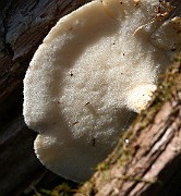 IMG_1623