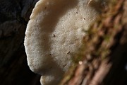 IMG_1624