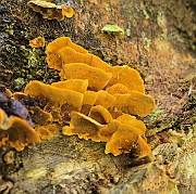 IMG_7762