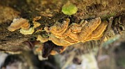 IMG_7763