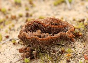 IMG_0615