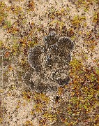 IMG_0617