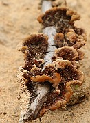 IMG_0628