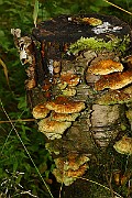 IMG_2256