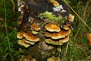 IMG_2257
