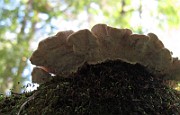 IMG_8784