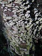 IMG_3295