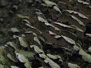 IMG_3296