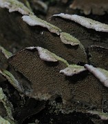 IMG_3296b