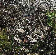 IMG_6893