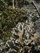 IMG_6892