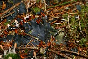 IMG_0925