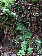 IMG_8426