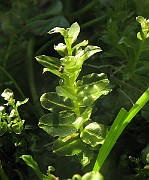 IMG_3985