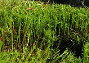 IMG_6953