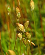 IMG_6959