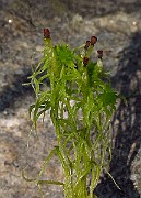 IMG_2760